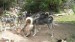 SAM_1521