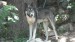 SAM_1545