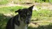 SAM_1586